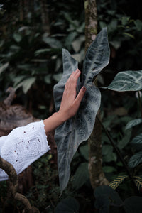 April Tunic
