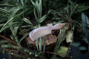 Hand Carved Hair Combs